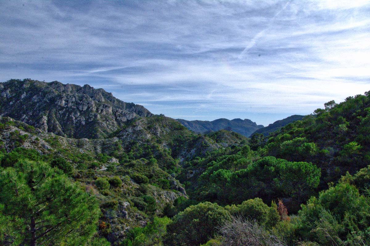 A Spectacular Drive in the Sierras of Tejeda, Almijara and Alhama Natural Park